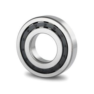 Cylindrical Roller Bearings